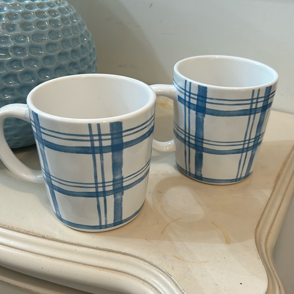 PIER 1 SET OF 2 CUPS/MUGS